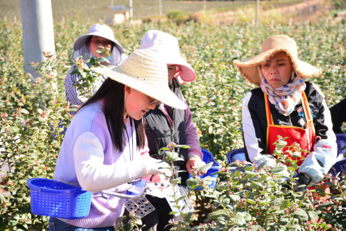 曲靖公共就业服务网