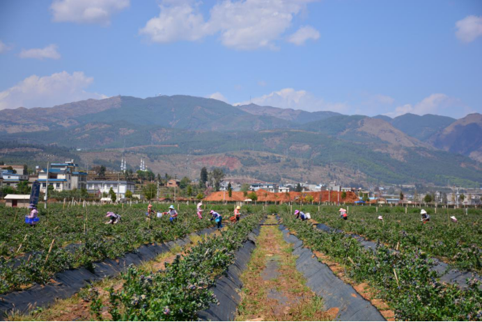 曲靖公共就业服务网