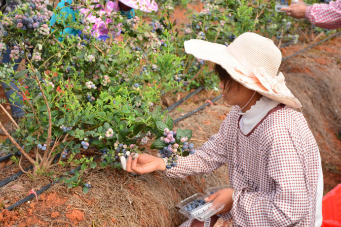 曲靖公共就业服务网