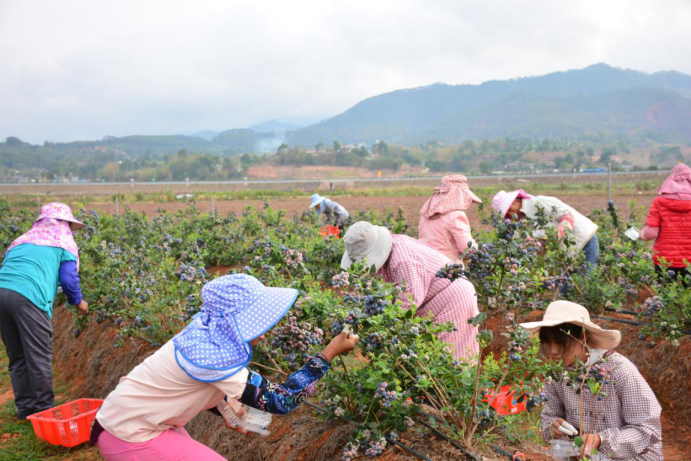 曲靖公共就业服务网