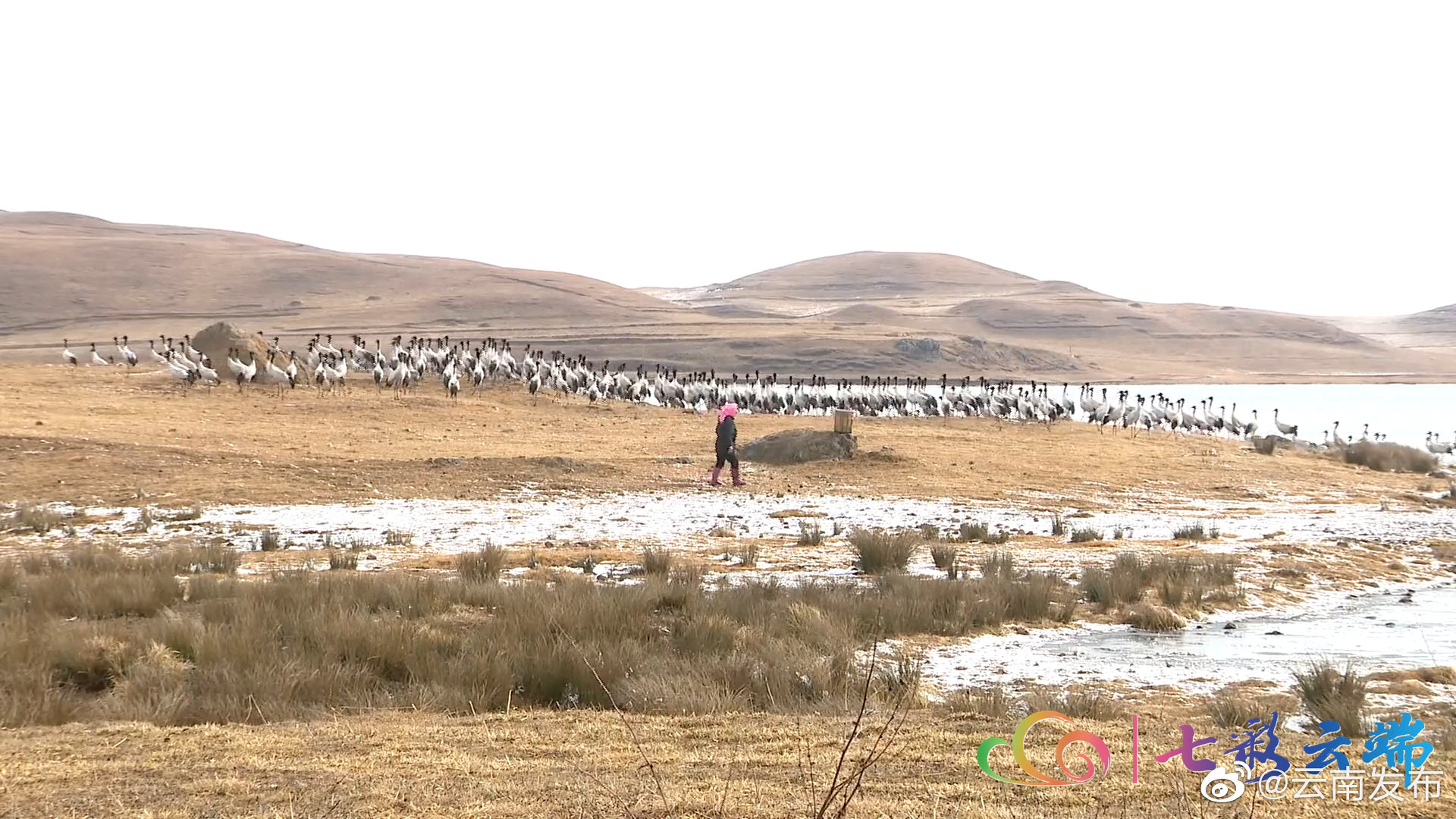 “云南发布”微博