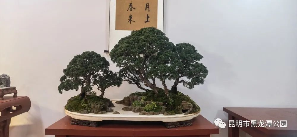 昆明市黑龙潭公园