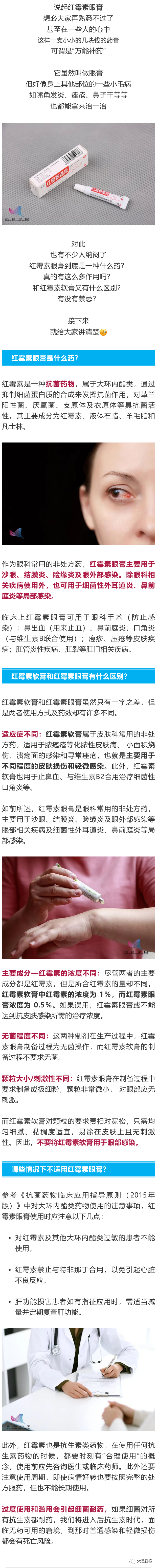 大理日报