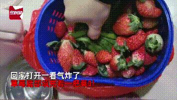 掌上春城微信公众号