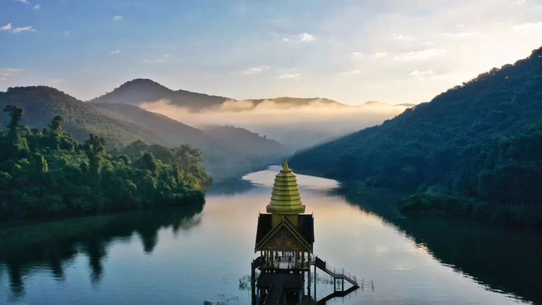 西双版纳望天树景区