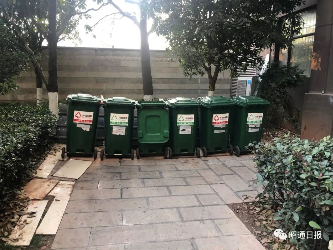昭通日报