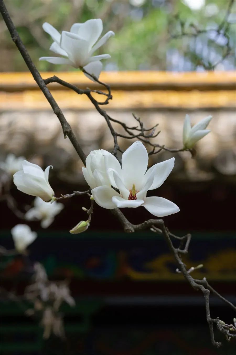 文明昆明