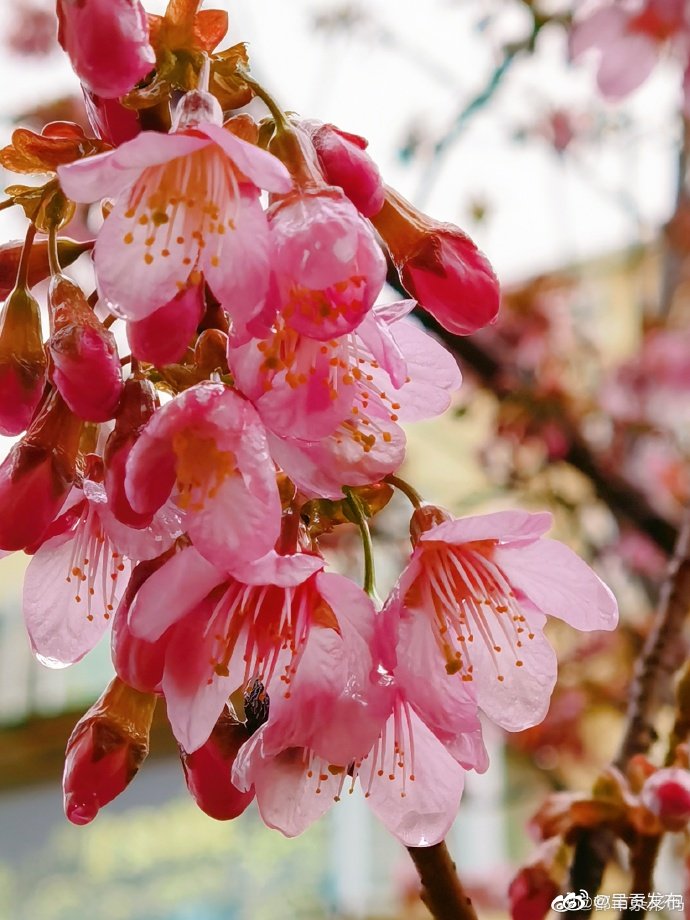 云南省未来024小时天气预报