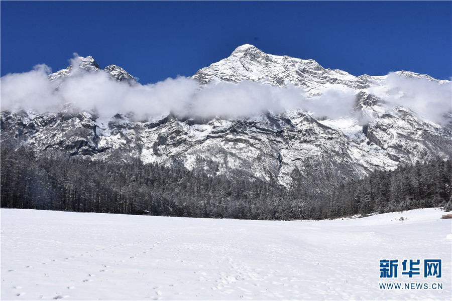 云南省文化和旅游厅