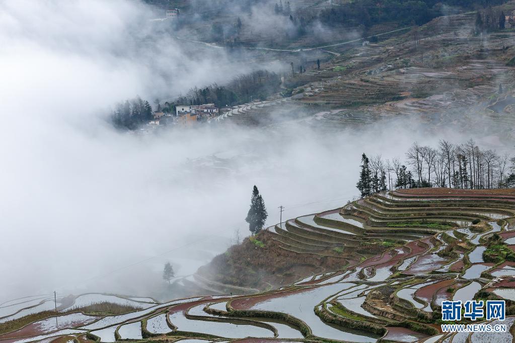 云南省文化和旅游厅