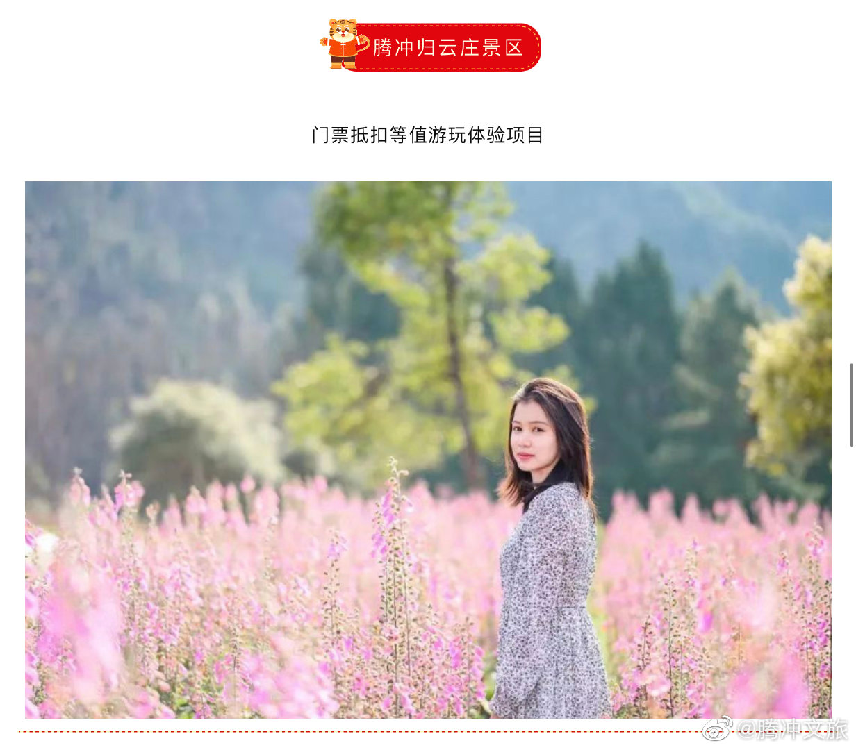 腾冲文旅微博