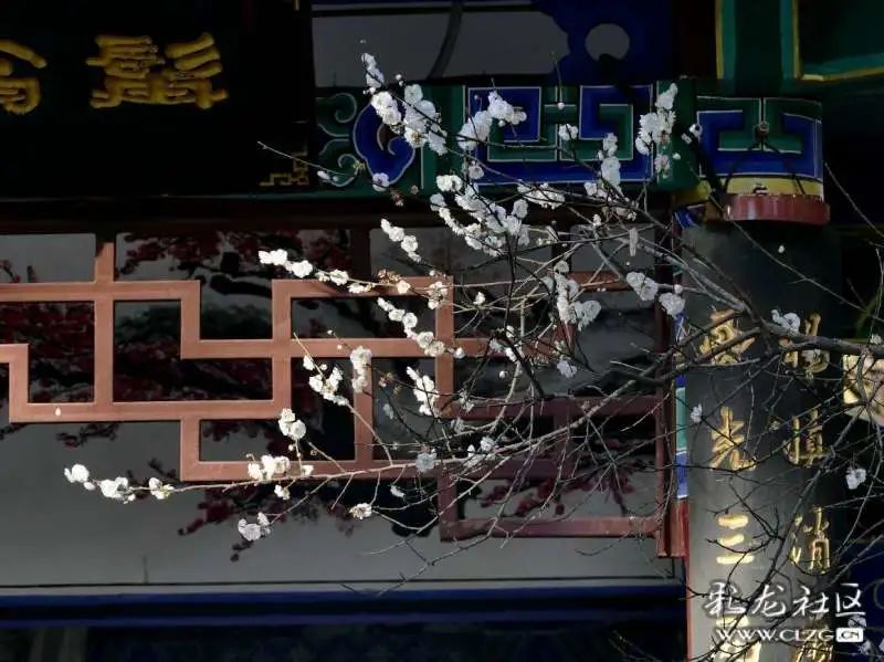 大观楼