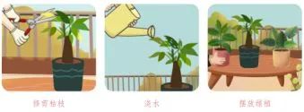 昆明西山教育体育