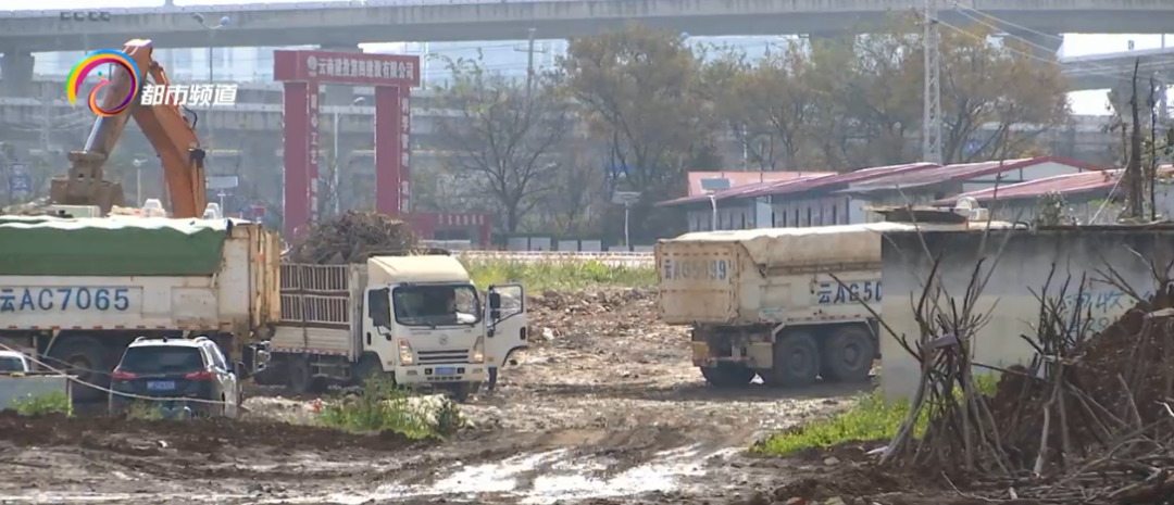 掌上春城微信公众号