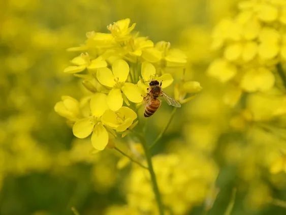 昆明市延安医院