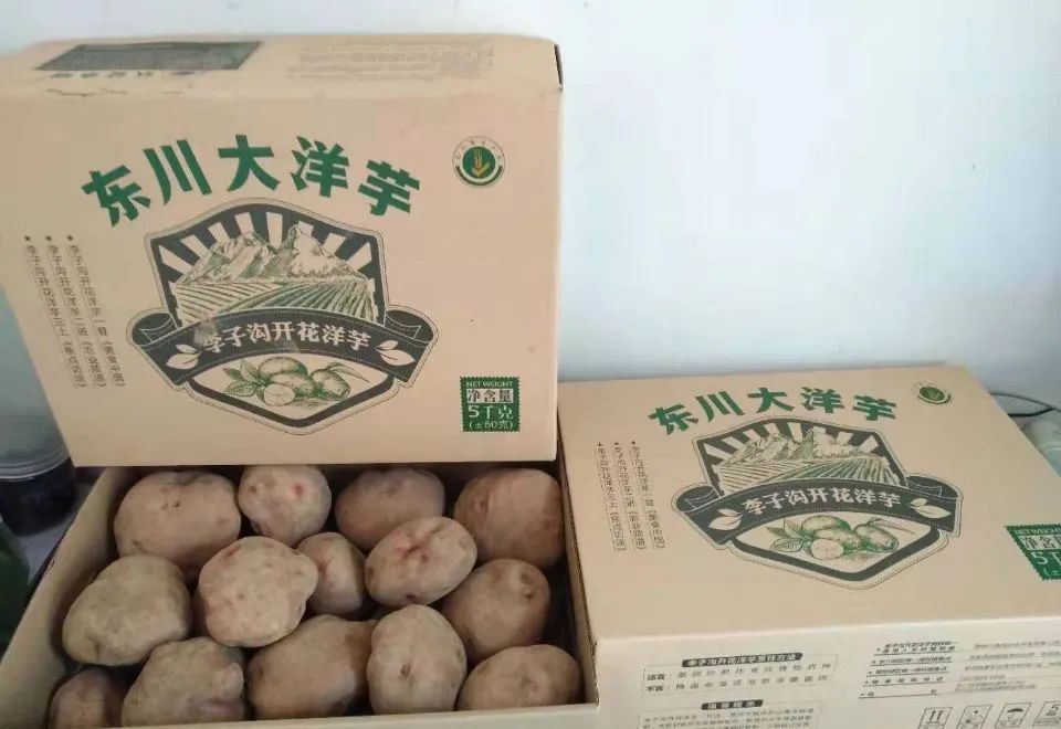 东川发布(微信)