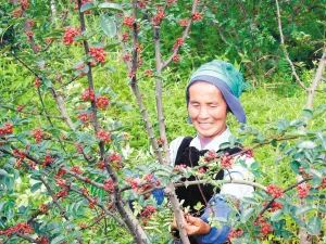昆明市农业农村局