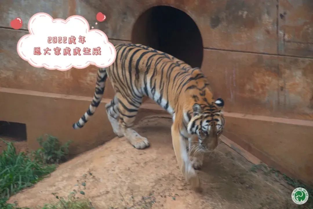 昆明动物园