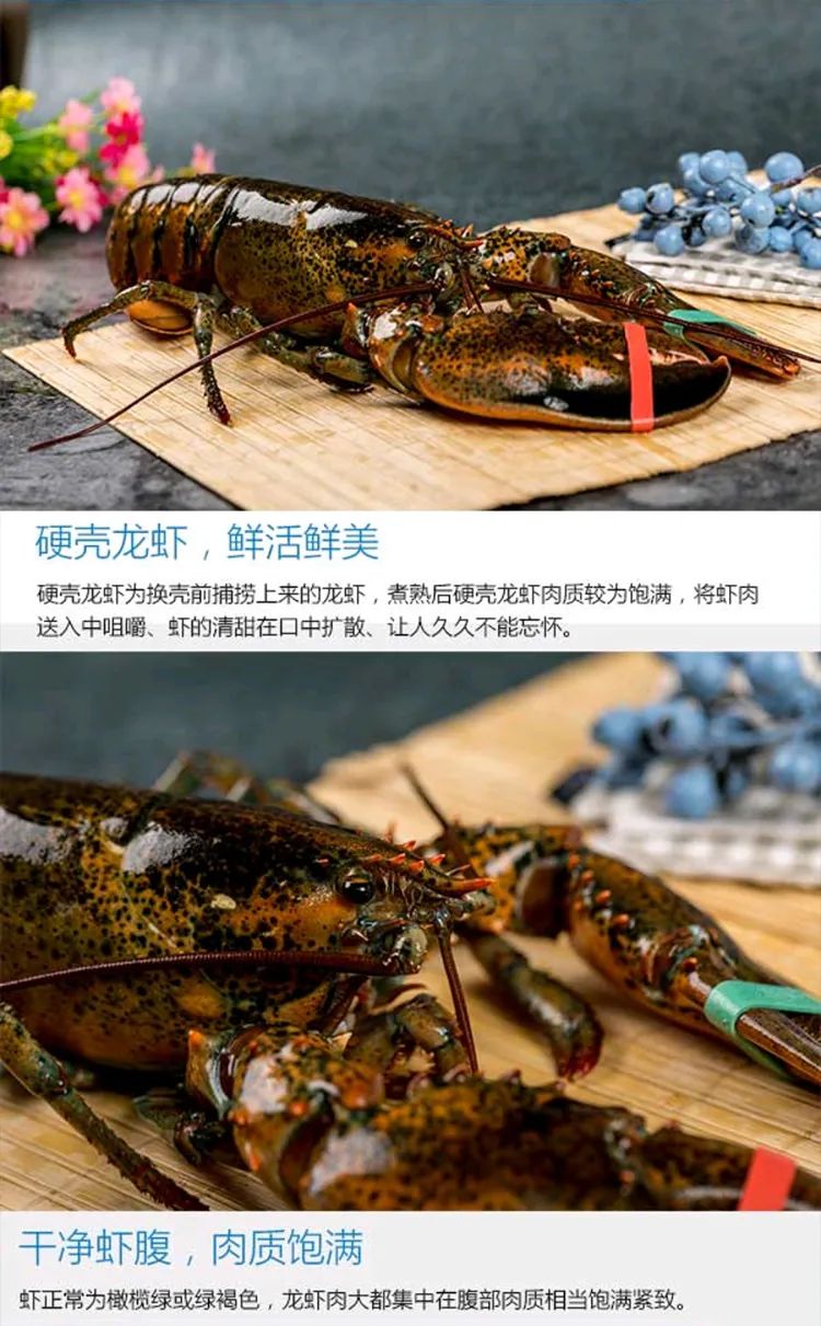 春城晚报