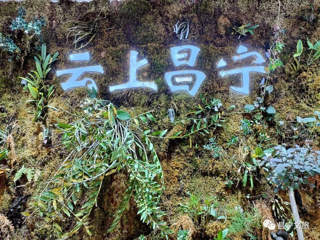 保山新闻网
