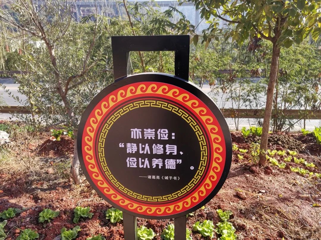 玉溪先锋