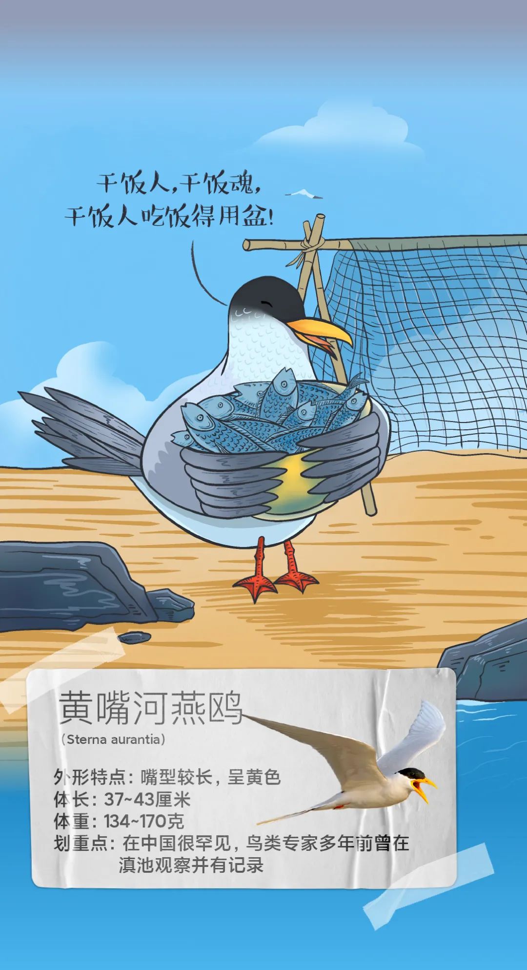 昆明发布