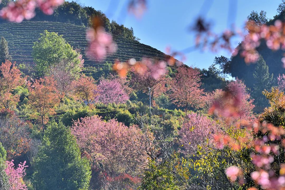 保山新闻网