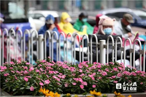 掌上春城微信公众号