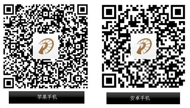丽江日报