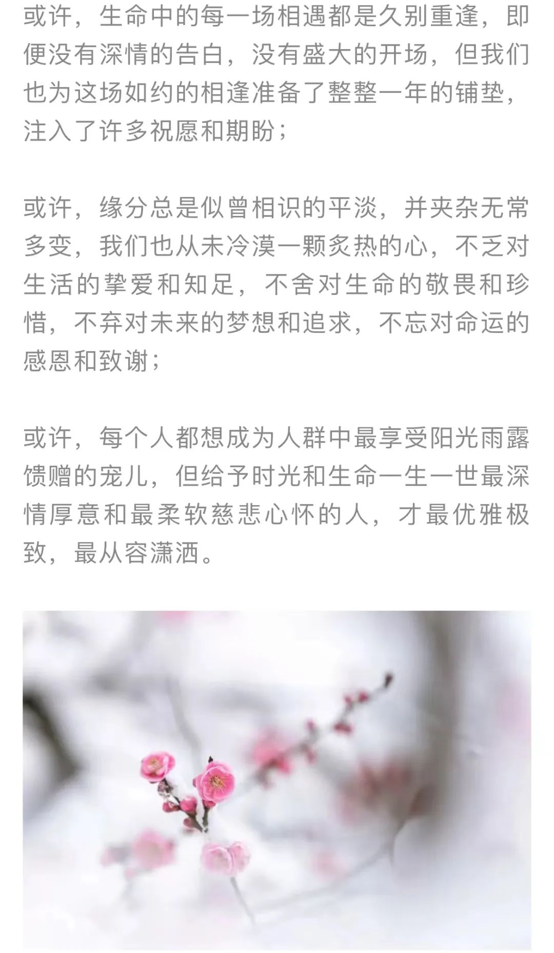 红色扎西