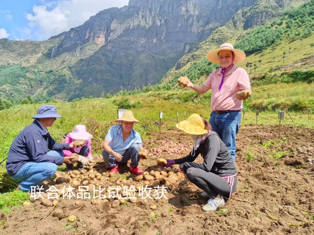 东川发布(微信)