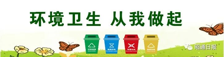 昭通日报
