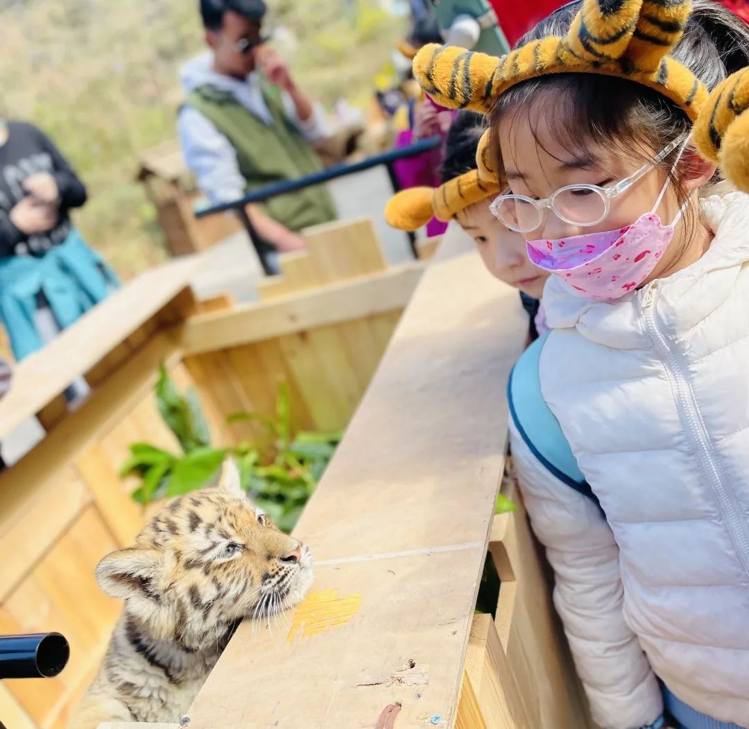 云南野生动物园