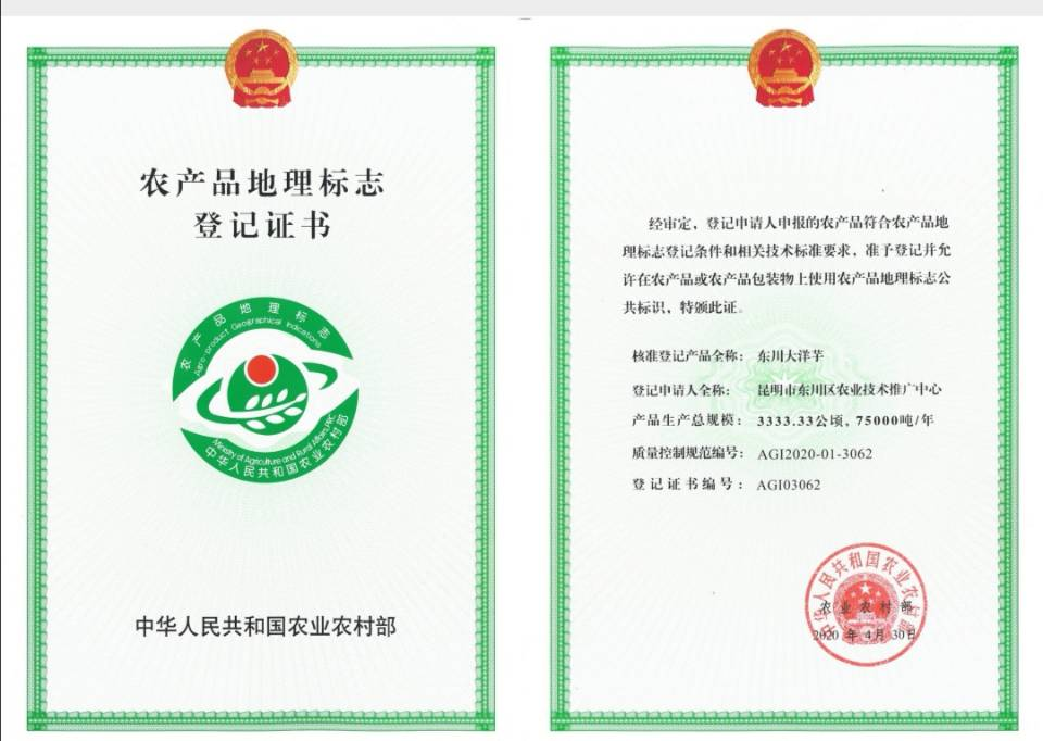 东川发布(微信)