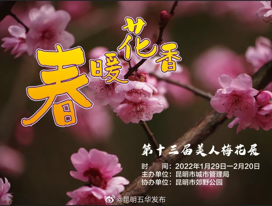 “昆明五华发布”微博