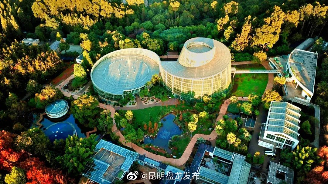 扶荔宫春节期间开馆时间及新春福利