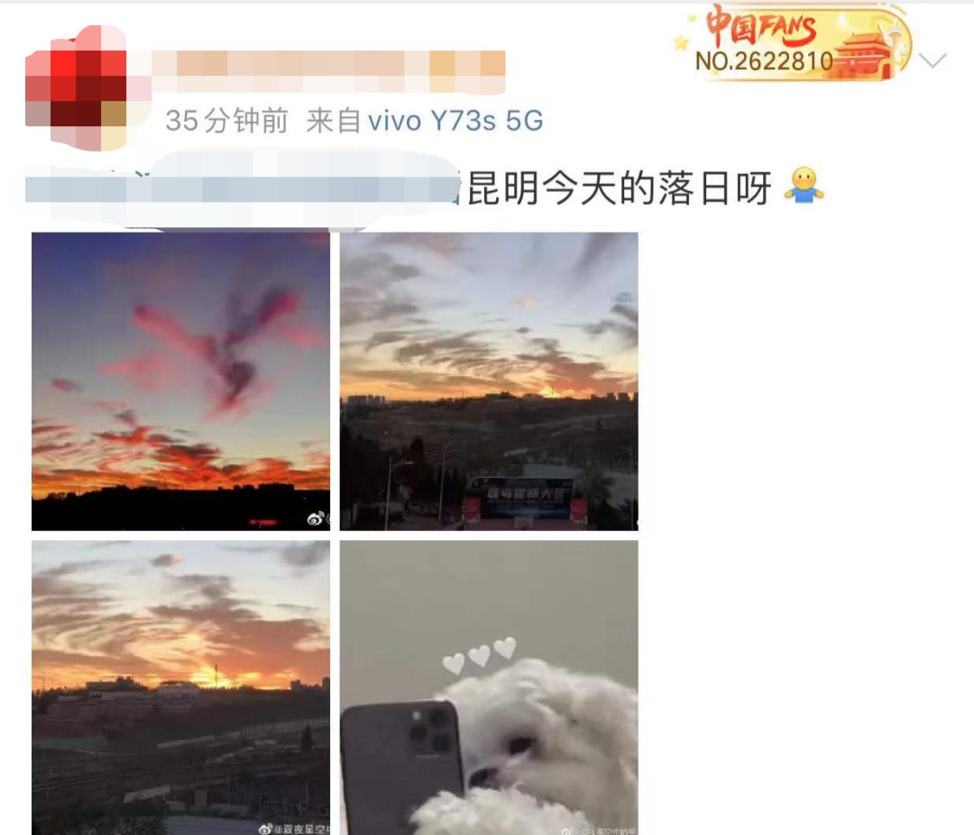 掌上春城微信公众号
