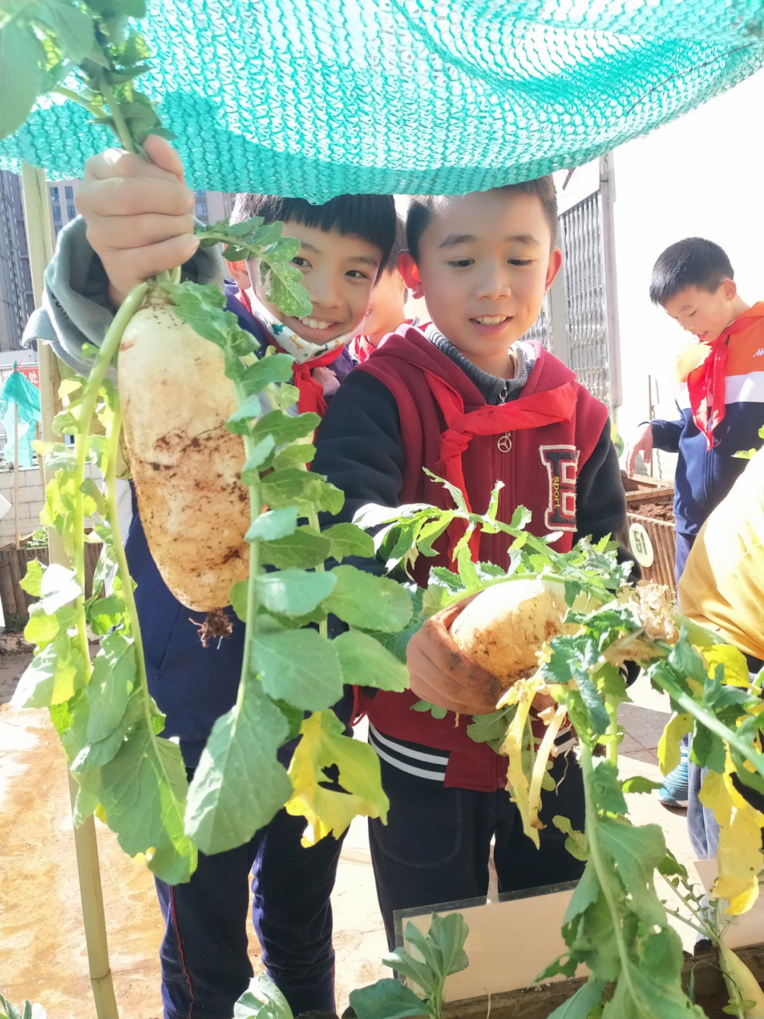盘龙教育(微信)