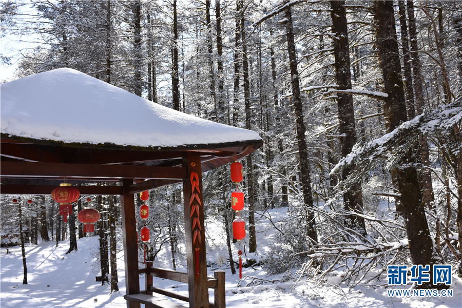 云南省文化和旅游厅