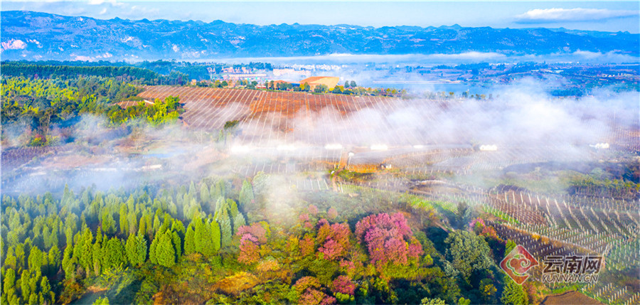 云南省文化和旅游厅