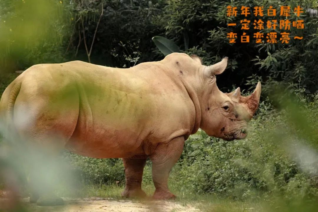 云南野生动物园