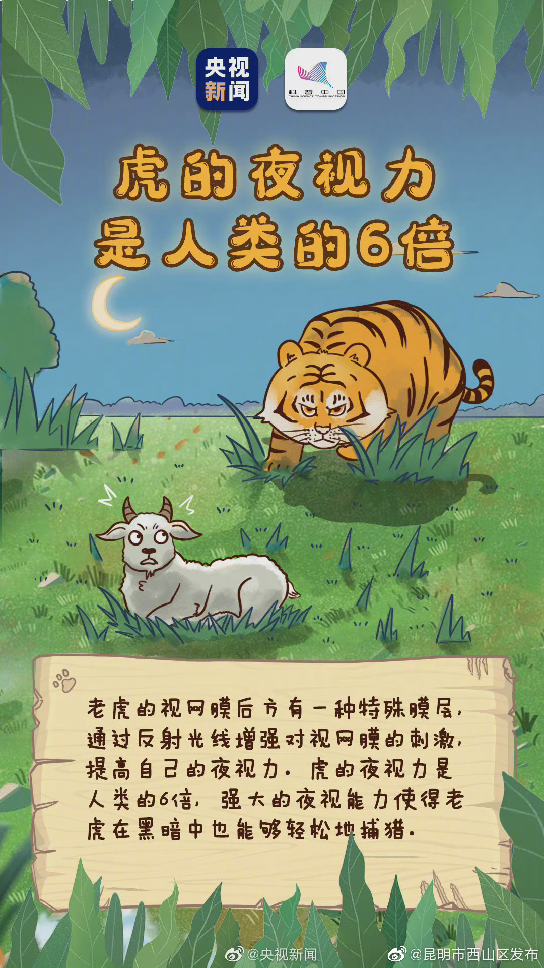 “昆明市西山区发布”微博