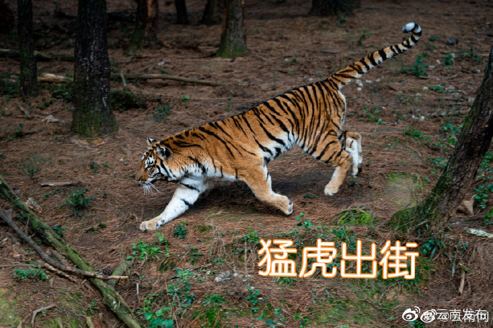“云南发布”微博