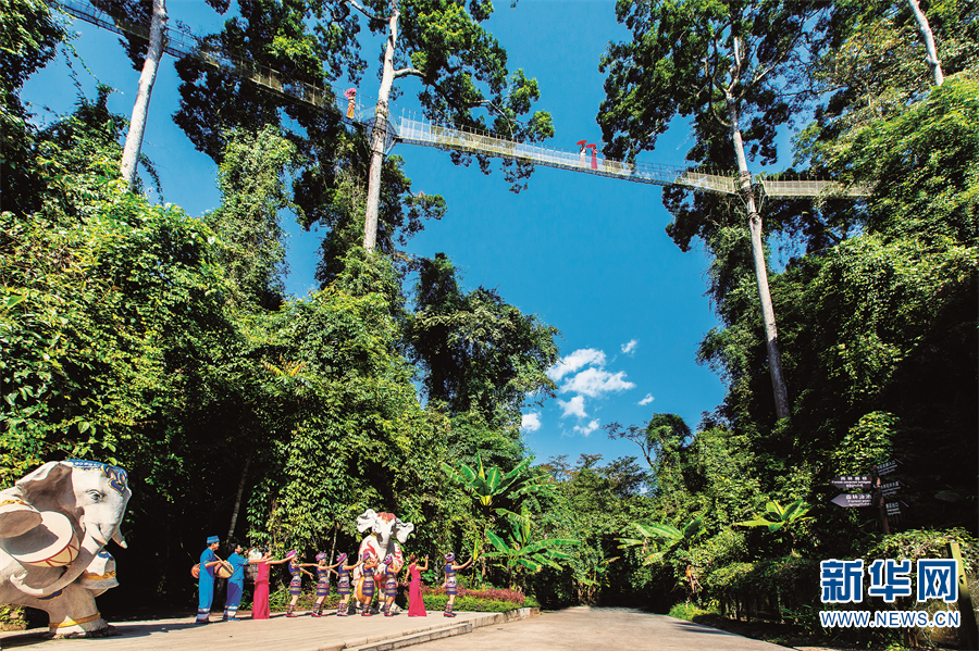 昆明信息港/cnkmxxg