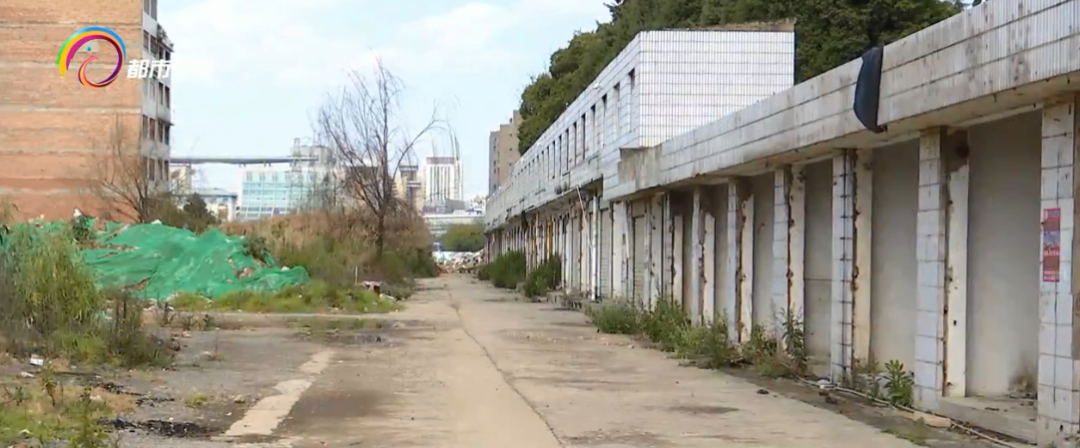 掌上春城微信公众号