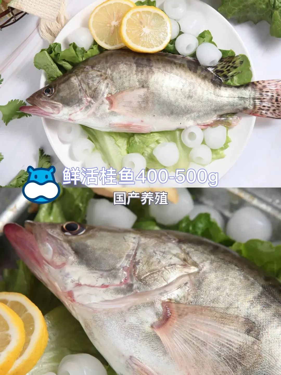 春城晚报