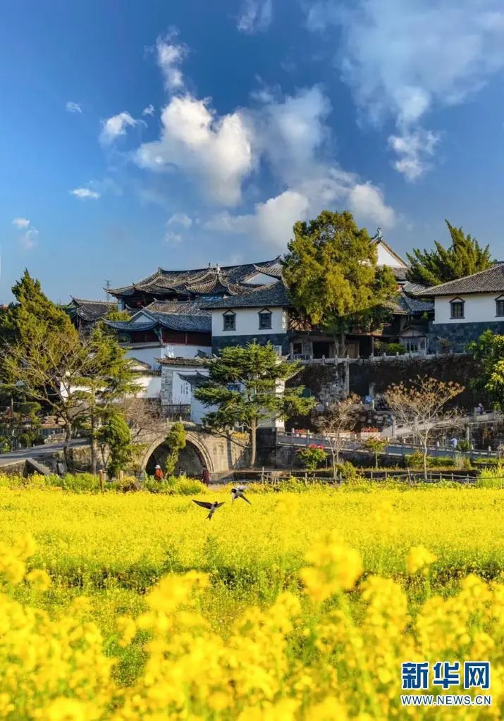 昆明信息港/cnkmxxg