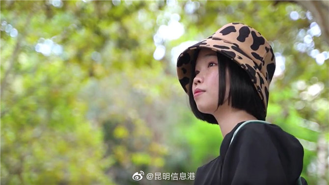 昆明信息港