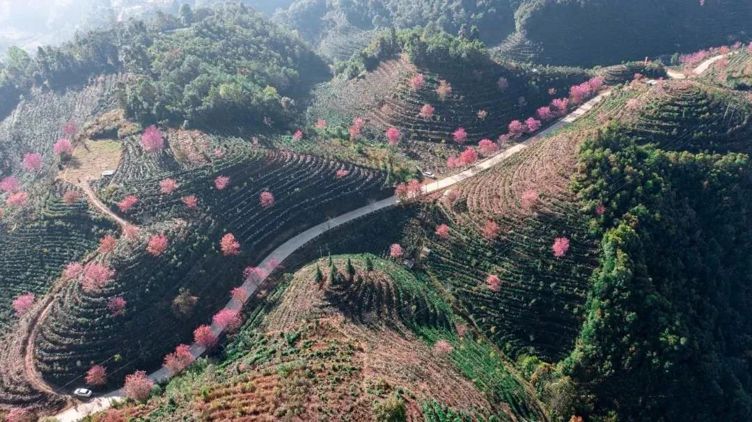 保山新闻网