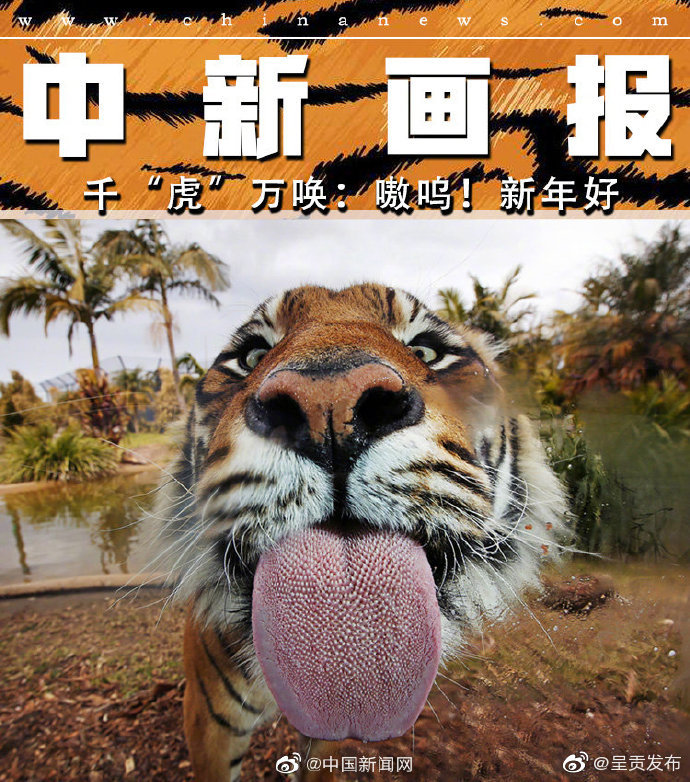 呈贡发布